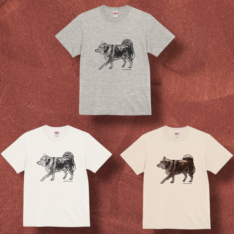 【Tシャツ】お散歩柴犬（3種類）