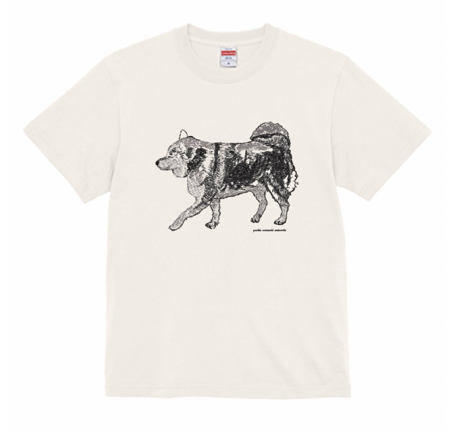 【Tシャツ】お散歩柴犬（3種類）