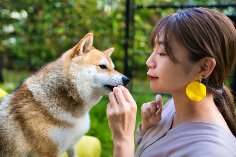 Yoshie Moriuchi