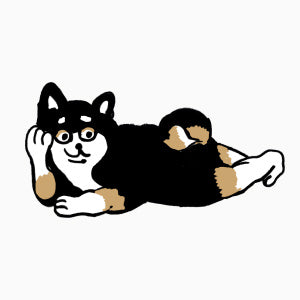 Relaxing Black Shiba