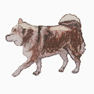 リアル柴犬